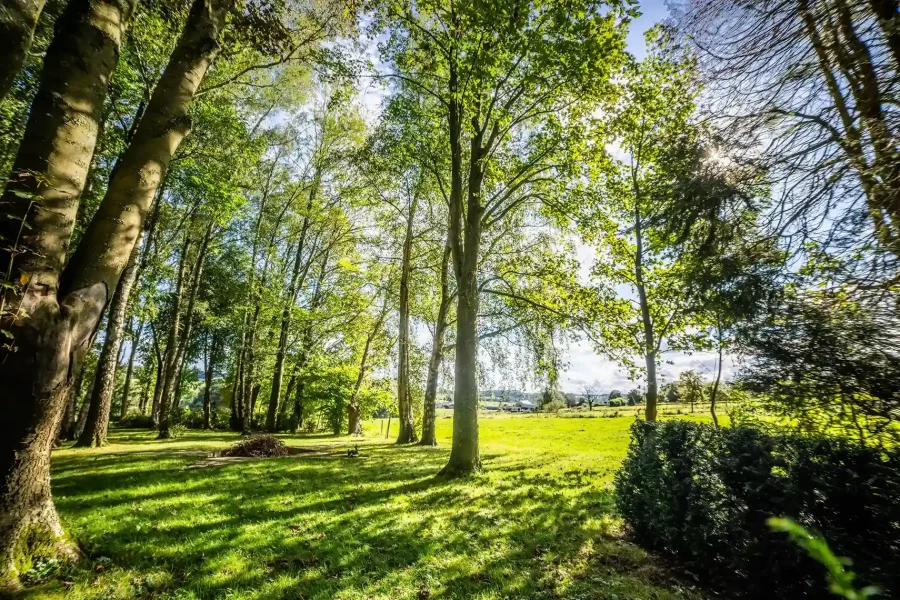 TROMME (16 sur 80)_6_11zon_8_11zon