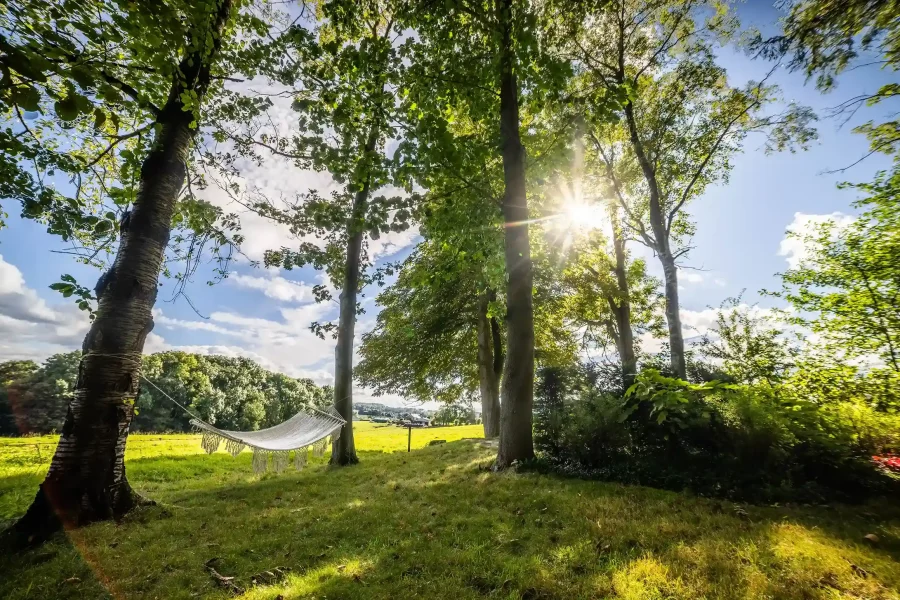 TROMME (19 sur 80)_7_11zon_5_11zon