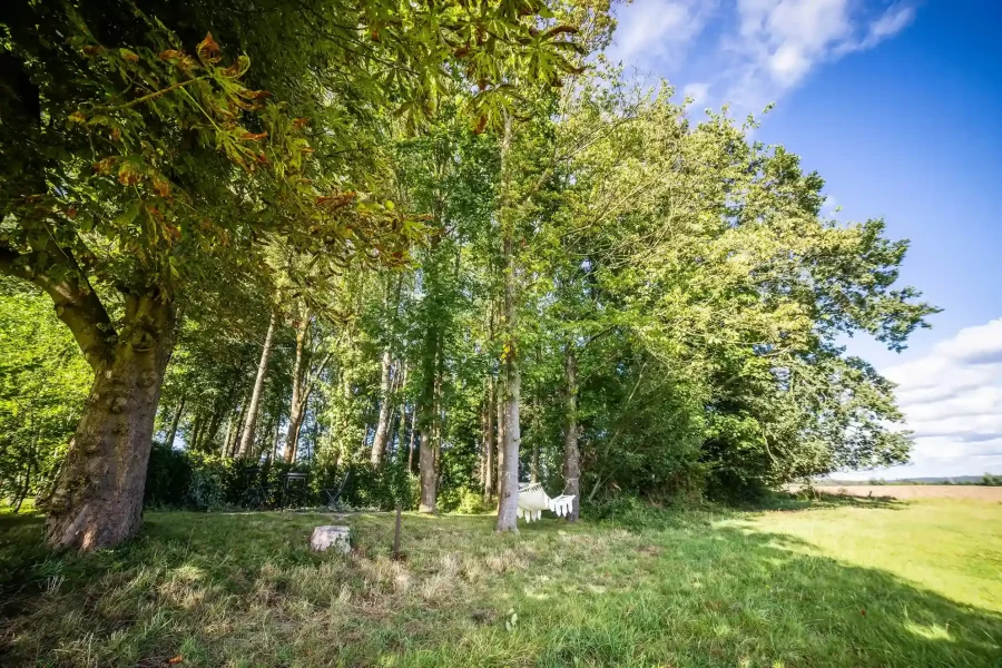 TROMME (20 sur 80)_11_11zon_6_11zon