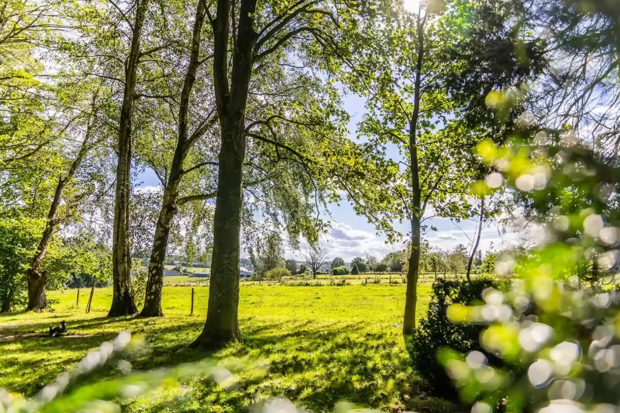 TROMME (6 sur 80)_1_11zon_6_11zon
